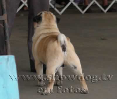 Clique sobre a foto para fechar